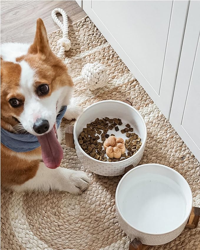 LE TAUCI Dog Bowls Ceramic for Small Medium Dogs - 4-Cup Dual Food & Water Bowl Set with Acacia Wood Stand, Non-Slip Anti-Tip Elevated Design