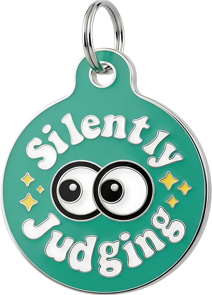 Bad Tags Personalized Dog and Cat ID Tags in 25+ Designs and 2 Sizes - 5 Lines of Custom Engraved Text - Funny Cute Personalized Pet Tags (Silently Judging - Green, Large (1.25 inch))