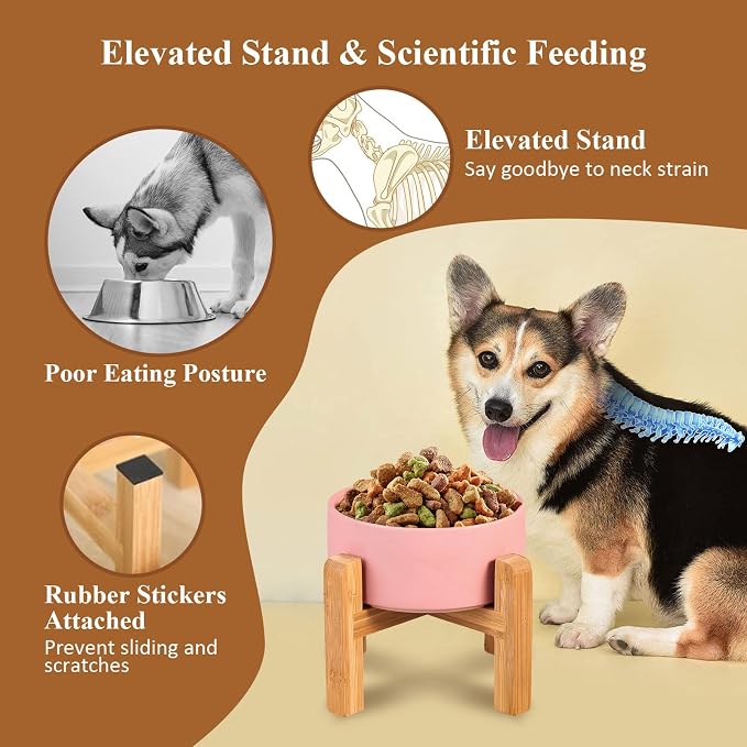 Ceramic Raised Dog Bowl with Bamboo Stand, for Small & Medium Dog, White×2