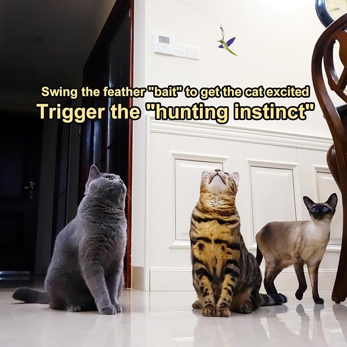 TTcat Cat Toy Hummingbird Refill Attachments with Bell & Feather, Replacement Bird Wand Toy Accessories for Interactive Cat Teaser Stick, Soft Furry Bird Kitten Chase Play Toys for Indoor Cats.