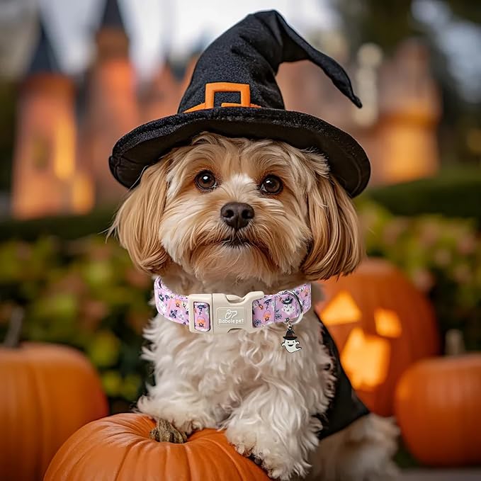 Halloween Dog Collar Cute Wizard Ghost Puppy Collar - Light Comfortable Adjustable Pet Collars for Small Medium Large Girl Boy Dogs XS