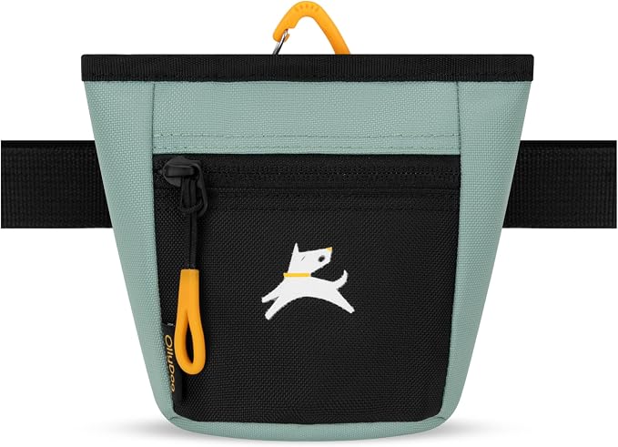 Goodie Treat Bag, Dog Treat Training Pouch | Magnetic Closure | 3 Ways to Wear | Hands-Free Waist Belt | Water-Resistant Recycled Vegan Fabric (Surf)