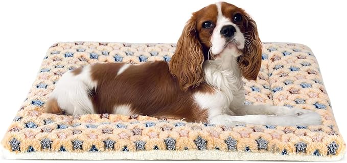 Mora Pets Dog Crate Pad - Ultra Soft Pet Bed With Cute Star Print, Washable Mat for Large Medium Small Dogs, Reversible Fleece Kennel Liner, Cat Bed 23 x 18 Inch Brown