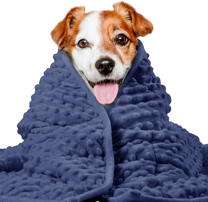 LaSyL Weighted Blanket for Pets | Thunder Blanket for Dogs Anxiety | Premium Soft Minky | Relaxation & Calming & Anti Anxiety | Used in Car, Bed, Couch | Dark Blue, Washable Small (24"x32")