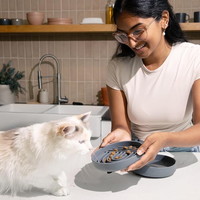 Should We Go? Slow Feeder Dog Bowls - Small Size Silicone Slow Eating Dog Bowl for Puppies & Dogs with Suction Cup -Dishwasher-Safe,Lick Mat Design,Reduces Gulping, for All Breeds, 6”x1.25”- Charcoal