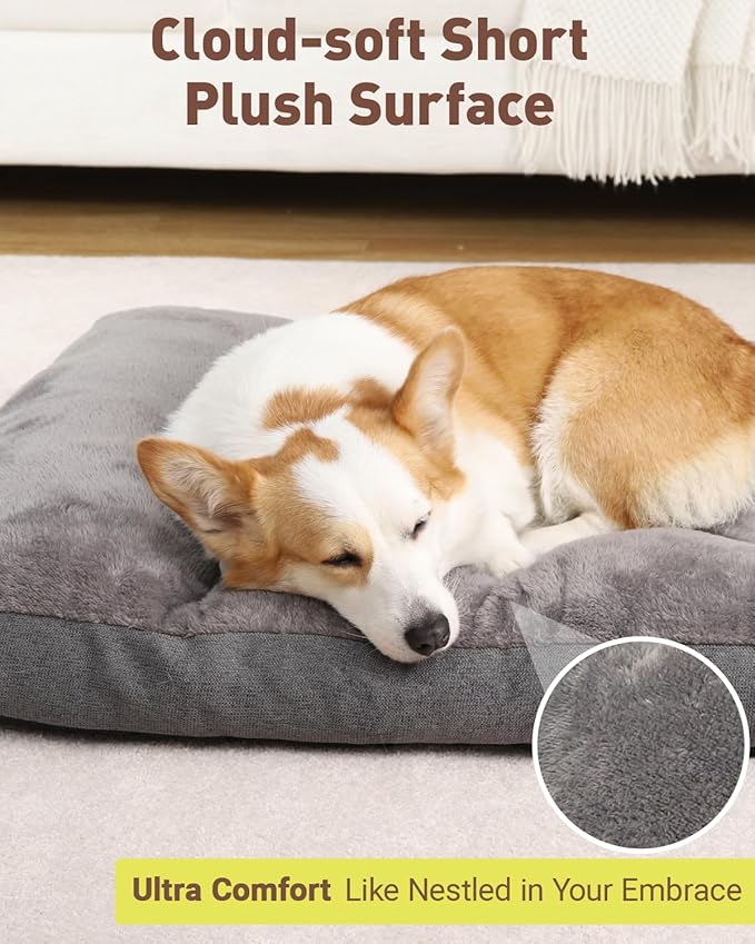 NUPIDA Dog Bed for Crate for Small Dogs, Machine Washable Bed Plush Pet Kennel Pad with Non-Slip Bottom, Pet Sleeping Mat, 23x17 Inch, Dark Gray