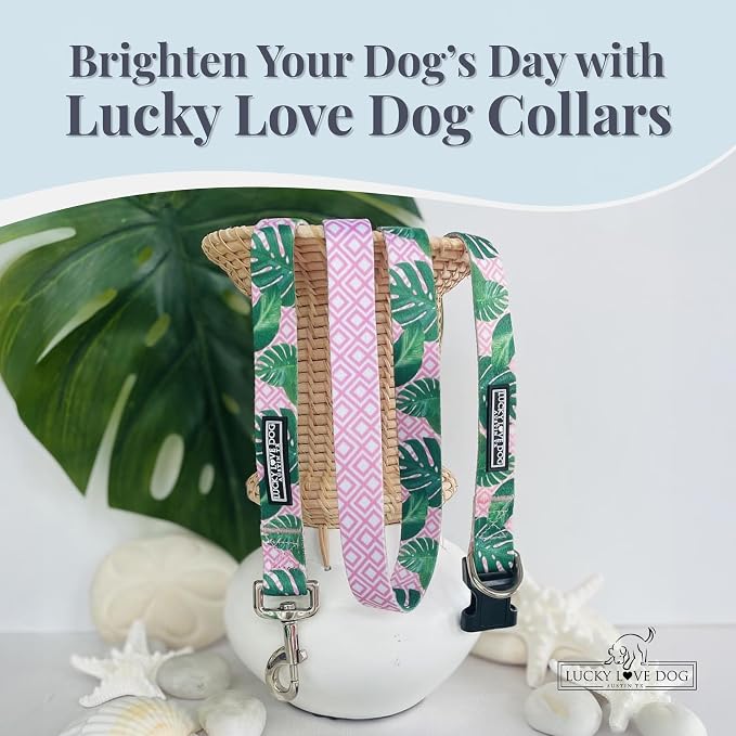 Lucky Love Dog - Adjustable Dog Collar with Easy Click Buckle for Small Ones, Durable, & Comfortable for Male & Female Dogs, Pet Collar for Puppies & Adult Dogs - Laguna, XS