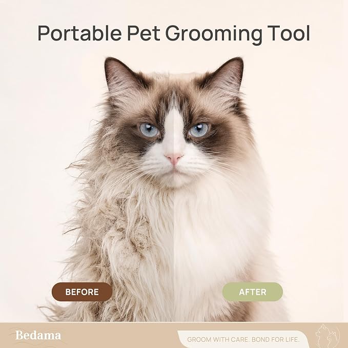 2 in 1 Cat Brush for Dematting & Deshedding, Undercoat Rake | Stainless steel undercoat rake for cats and small dogs helps remove loose hair, mats and tangles; grooming comb included