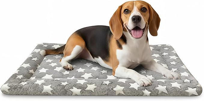 Dog Bed Mat, Dual-Sided Dog Crate Bed Mat - Ultra Soft & Machine Washable Kennel Pad for Medium Dogs, All-Season Comfort Pet Bed for Crates, Travel, and Home, Star Gray, 30 x 18 Inch