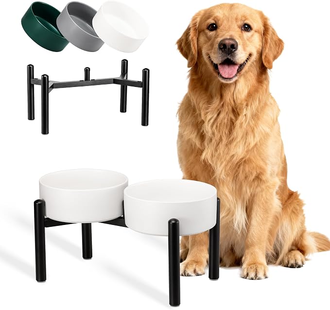 Dog Bowls Elevated - Ceramic Raised Dog Bowl with Non Slip Steel Stainless Stand - No Spill and Heated Feeding Station - Food and Water Dish Set for Medium to Large Pet - Each Holds 7.5 Cups – White