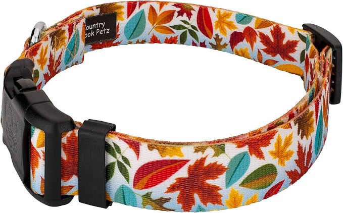 Country Brook Petz - Brisk Autumn Everyday Dog Collar - Made in The U.S.A. - Awesome Autumn Collection Featuring Designs You'll Fall for (1/2 Inch, Extra Small)