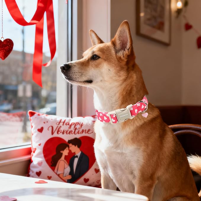 DOGWONG Dog Collar Plastic Buckle Collar for Valentine's Day Gift Pink Heart Love for Small Medium Large Boys Girls Dogs