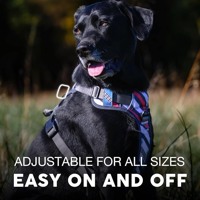 Embark Adventure Large Dog Harness – No-Pull, Reflective Trim, Military-Grade Nylon, Front Clip with Gel-Lined Handle