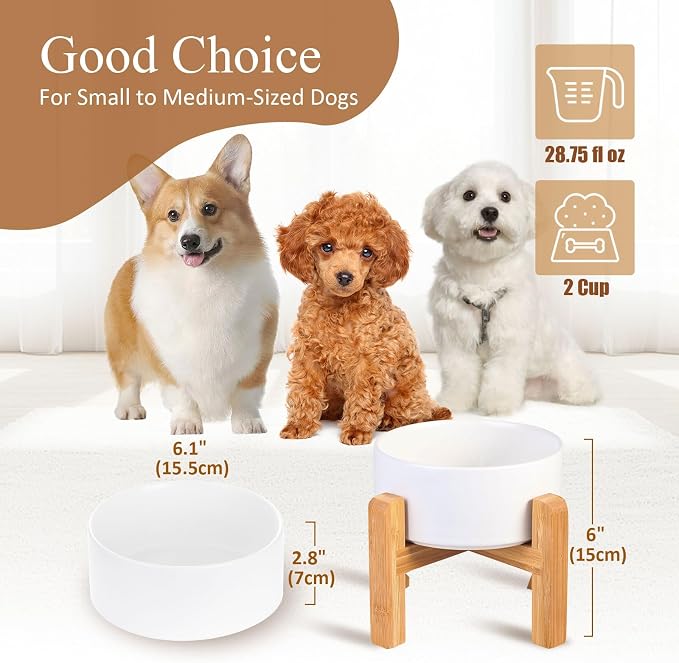 Ceramic Elevated Dog Bowl with Bamboo Stand, for Small & Medium Dog, White