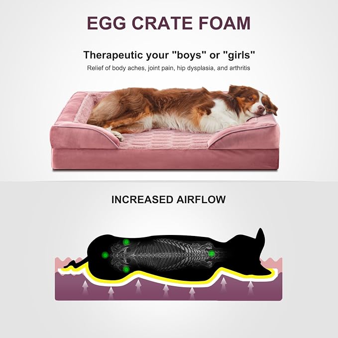 FURTIME Orthopedic Dog Bed for Medium Size Dog, Waterproof Dog Beds, 35x25x6.5 Supportive Foam Pet Couch Bed with Removable Washable Cover and Nonskid Bottom