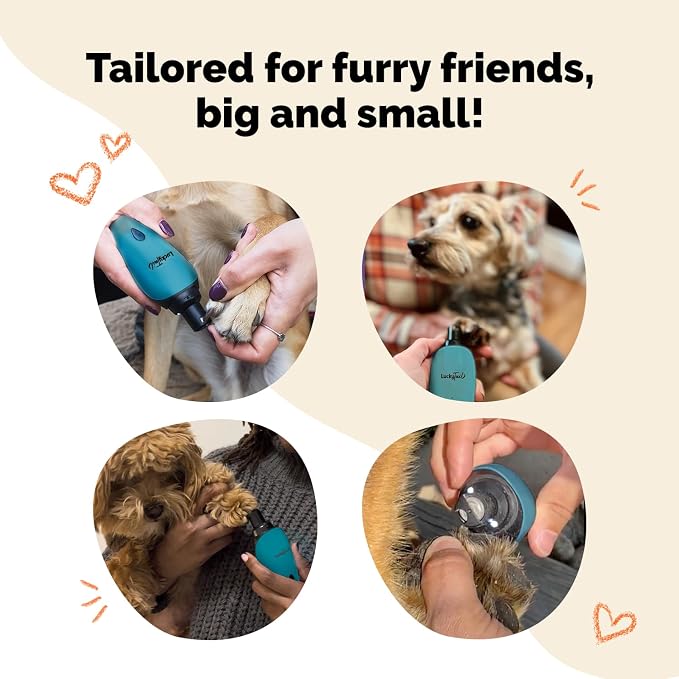 Pet Nail Grinder for Dogs and Cats - Super Quiet and Low Vibration Electric Dog Nail Grinder with 2 LED Lights - USB Rechargeable and Cordless - 2 Speeds - Small to Large Pets - Teal