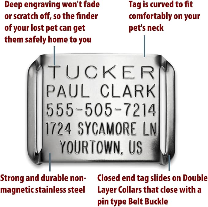 Boomerang Tags Cat Name Tag - Dog Tags for Small Dogs, Cat Name Tags Personalized, Slide-on for Thick Collars (Closed End X-Small for 3/8 Inch Wide, Thick Nylon or Leather Collars with Belt Buckle)