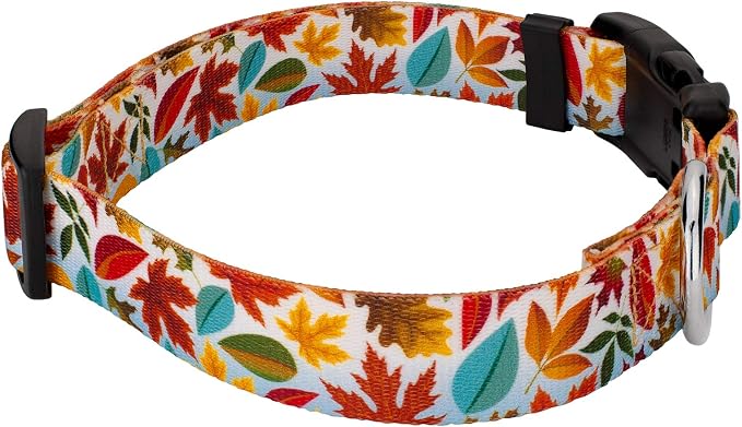 Country Brook Petz - Brisk Autumn Everyday Dog Collar - Made in The U.S.A. - Awesome Autumn Collection Featuring Designs You'll Fall for (1 Inch, Extra Large)