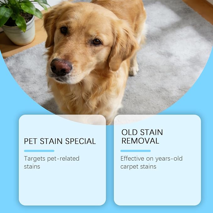 Pet Stain & Strong Odor Eliminator, Dog Cat Pee Urine Destroyer - 5oz | Cleaner Spray for Pet Stain Remover, Urine, Poop, Pee, Deodorizer for Carpet, Upholstery, Air Freshener in Home & Car