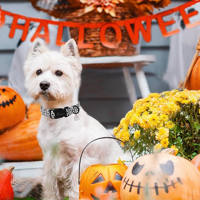 ARING PET Halloween Dog Collar, Ghost Flower Pet Collars for Small Medium Large Girl Boy Dogs Puppy Collar with Quick Release Buckle-Black White L Size