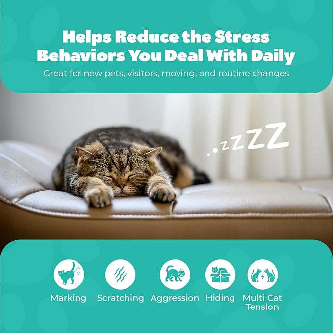 Rechargeable Cat Calming Pheromone Diffuser Kit, 60 Day Supply, No Burning Smell, Helps Reduce Stress, Scratching & Spraying