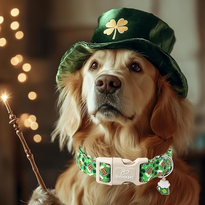 St Patricks Day Dog Collar for Medium Dogs - Green Beer Shamrock Dog Collars for Boys&Girls Dogs, Adjustable Irish Clover Puppy Collar with Quick Release Buckle M