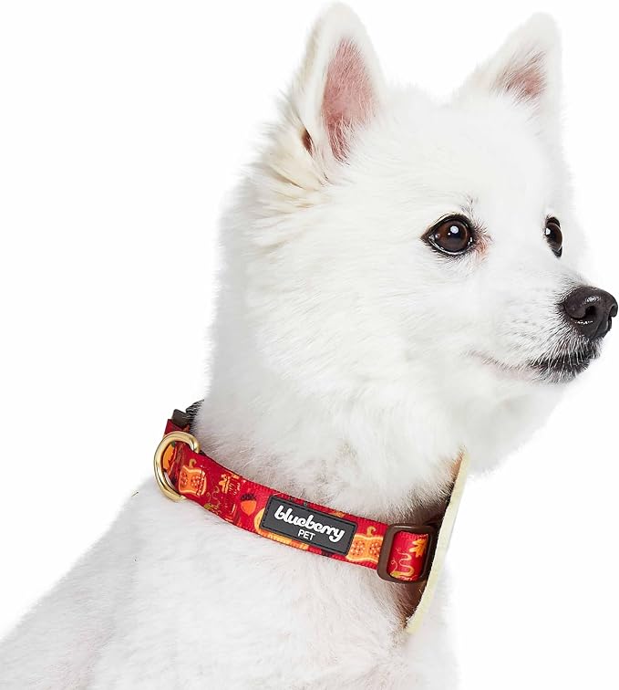 Blueberry Pet Thanksgiving Fall Pumpkin and Acorn Adjustable Dog Collar with Detachable Accessory, Large, Neck 18"-26"