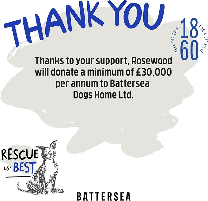 Rosewood Battersea Foam Flyer, Frisbee Dog Toy, 23.5cm x 23.5cm,Blue