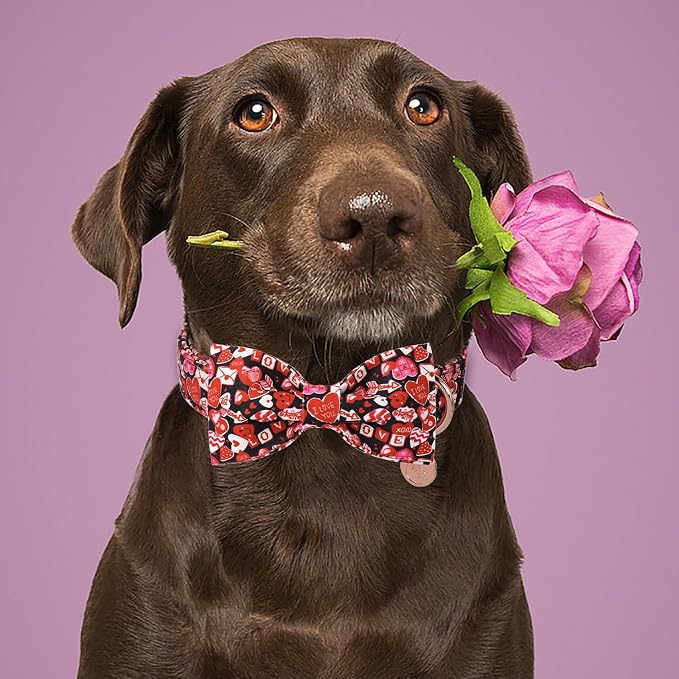 DOGWONG Valentine's Dog Collar with Bow - Cute Heart Bowtie Dog Collars, Adjustable Valentine Pink Candy Heart Pet Design Dog Collar with Quick Release Buckle for Puppy Girl Boy Dogs