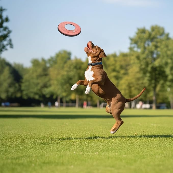 OllyDog Mini Super Flyer, Dog Flying Disc – Floating Fetch Toy, Soft on Teeth, Eco-Friendly Recycled Material, Lightweight, for Small & Medium Dogs (Desert, 9")