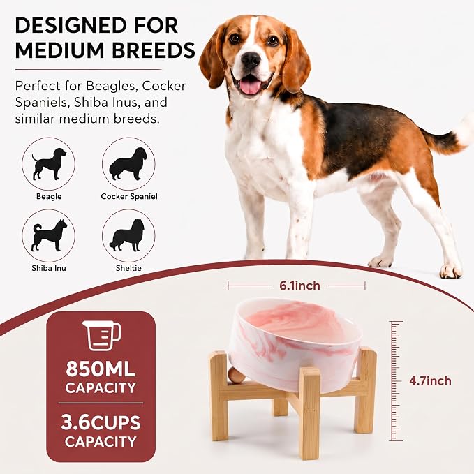 hjn Elevated Ceramic Dog Bowl 15°Slanted Raised Dog Bowl with Bamboo Stand for Small Medium Dogs and Cats, Pet Feeder -3.6-Cup (850ml)-Marble Pink
