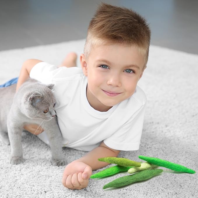 Glaciart One Green Beans Cat Toy – 5 Pcs | Soft Fuzzy Enrichment 100% Natural Wool - Interactive Catnip Play Cat Toy Set - Safe for Pets, Non-AZO Colored Dyes