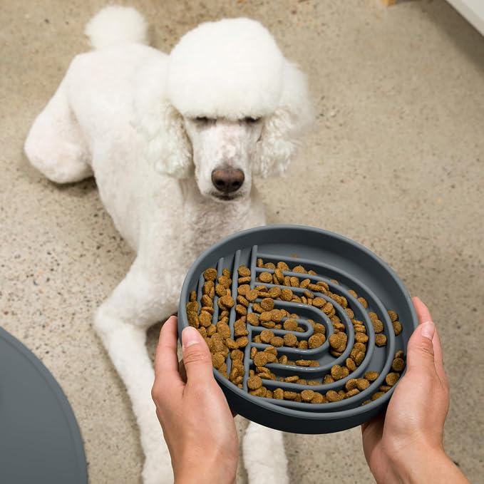 Should We Go? Slow Feeder Dog Bowls - Large Size Silicone Slow Eating Dog Bowl for Puppies & Dogs with Suction Cup -Dishwasher-Safe, Lick Mat Design, Reduces Gulping,for All Breeds,9.5”x1.5”-Charcoal