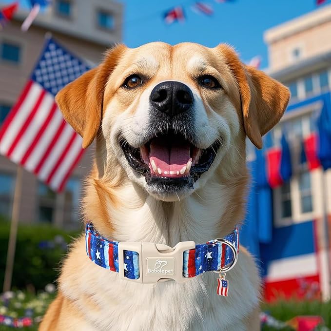 4th of July Dog Collar, Stars & Stripes Patriotic Dog Collars for Small Dogs, Adjustable Lightweight Quick-Release Buckle Collar for Boy&Girl Dogs S