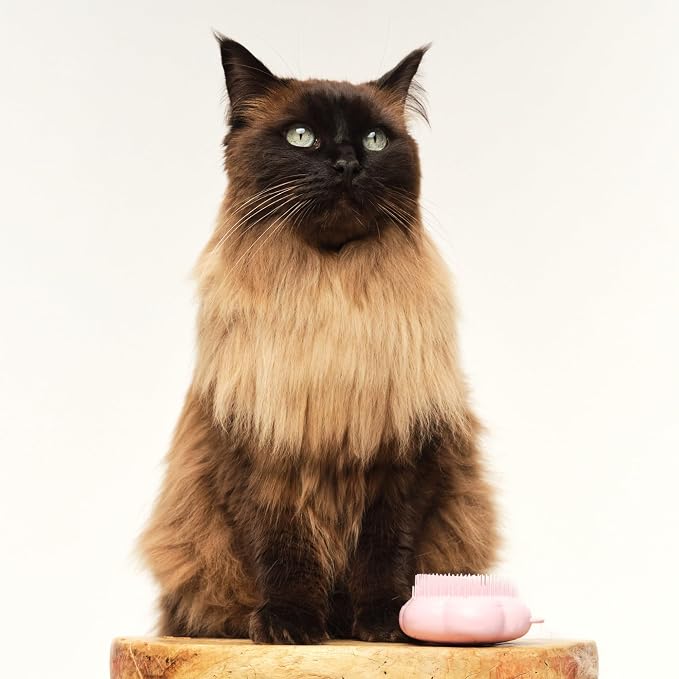 Pet Teezer Cat Brush for De-Shedding Short to Medium Fur, Millennial Pink | Cat hair brush gently de-sheds and detangles short to medium cat coats, even the finest fur, with no tugging or pulling