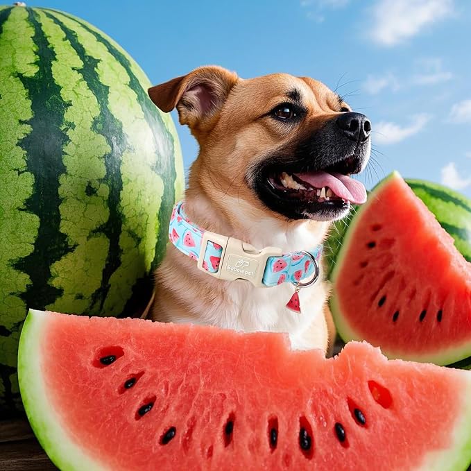 Adjustable Summer Dog Collar, Cute Watermelon Dog Collars for Small Dogs, Lightweight Quick-Release Buckle Collar for Boy&Girl Dogs S