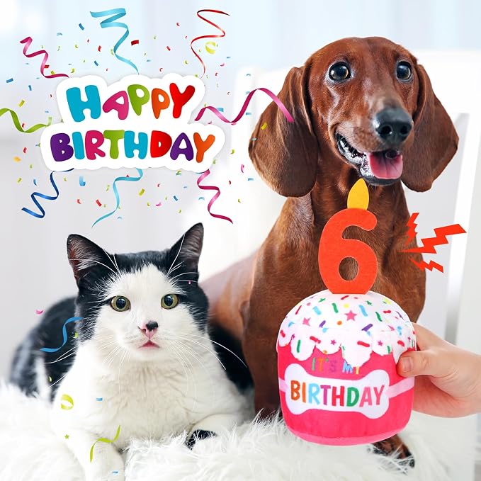 Dansydaisy Dog Birthday Cake Toy Squeaky Plush Toy for Girl Boy Gifts, Chew Accessories for Dog Birthday Party Decor Favor for Large, Medium and Small Dogs(6th,Pink)