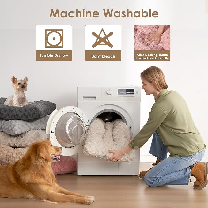 EHEYCIGA Washable Small Dog Bed for Crate 23x18 Inch, Kennel Pad for Puppy Up to 25 lbs, Plush and Comfy Pet Sleeping Mat, Beige
