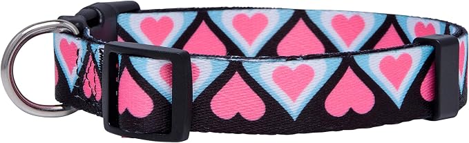 Native Pup Valentine’s Dog Collar- Valentines Day Pet Collars- Valentine Girly Hearts- Pink Red Heart- Cute Boy Girl Puppy Gift- Adjustable for Small, Medium, Large Breeds (Blue & Pink Hearts, Small)