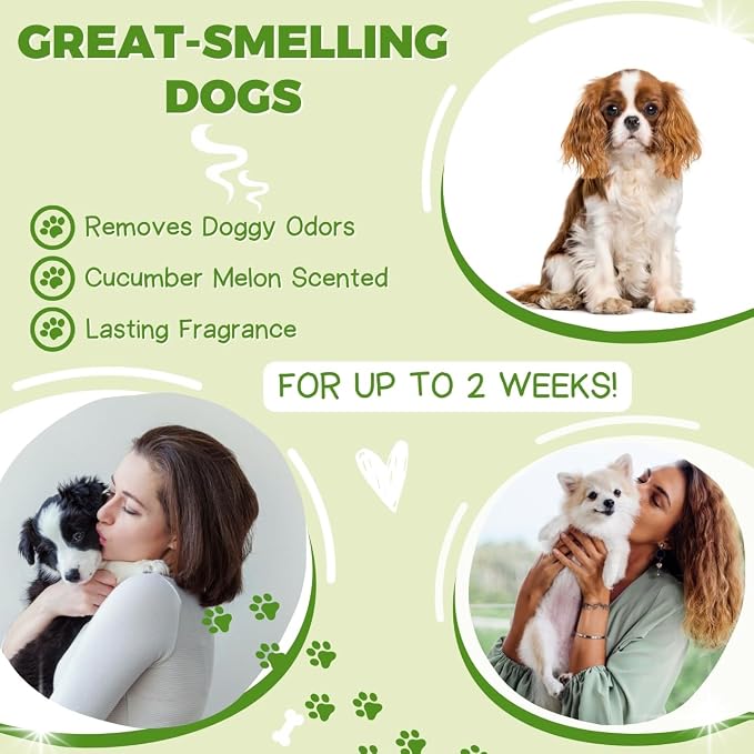 All Stages Natural Dog Shampoo and Conditioner Set with Aloe Vera pH-Balanced Dog Grooming Shampoo and Conditioner for Dogs, Tear-Free Moisturizing Dog Shampoo, 26.4 Oz (Pack of 2)
