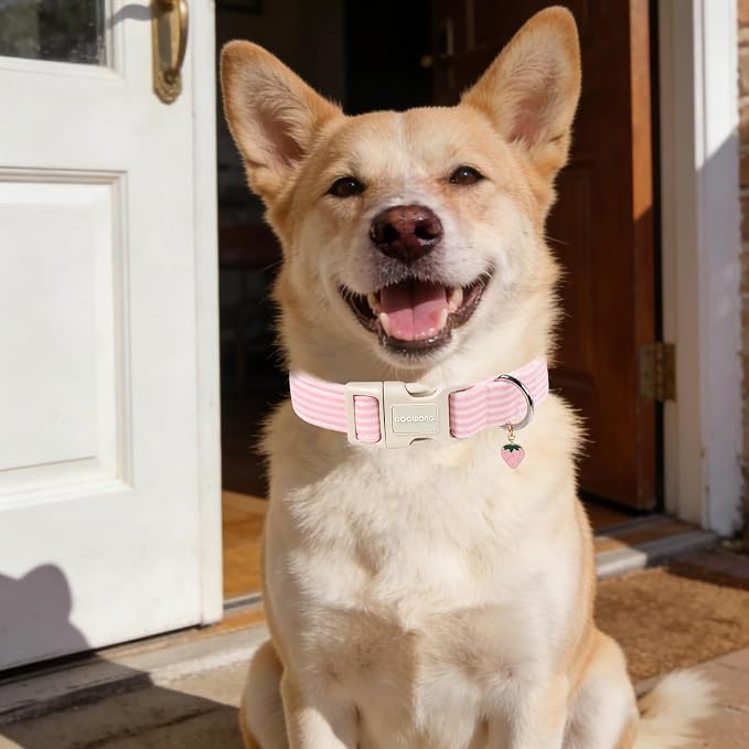 DOGWONG Pink Dog Collar, Spring Summer Girl Dog Collar with Plastic Buckle, Strawberry Striped Female Dogs Collars for Large Dogs, Neck 42-66 inches