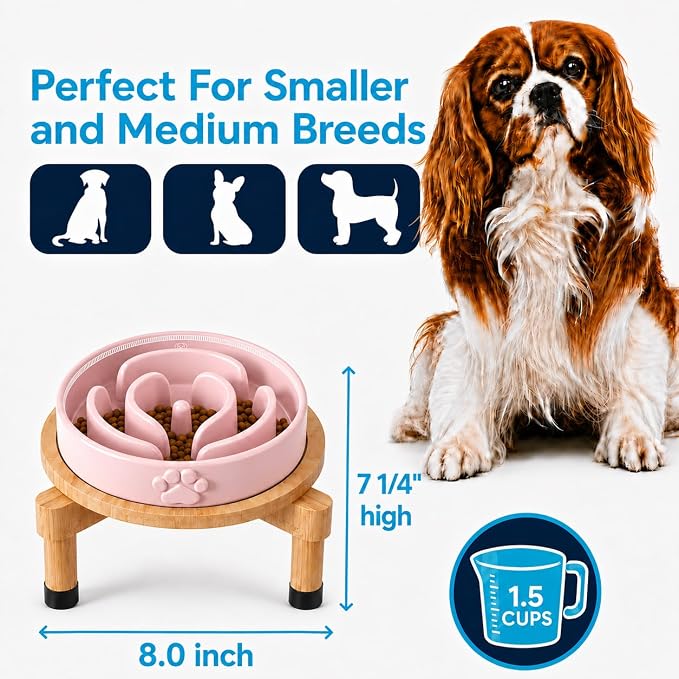 Slow Feeder Dog Bowls – Elevated Dog Bowl Slow Feeder with Bamboo Stand– Microwaveable Dog Slow Feeder for Small and Medium Dogs – Lead and BPA-Free Ceramic Pet Bowl – Pet Feeder for Fast Eaters