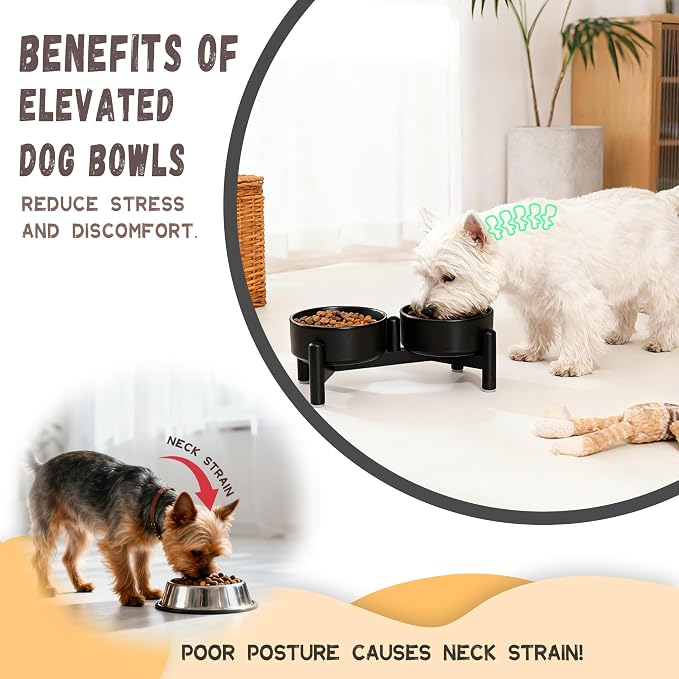 Raised Ceramic Dog Bowl Set - Elevated Double Dishes with Stainless Steel Stand - Food and Water Bowls for Small Dogs and Indoor Cats - Each Holds 1.6 Cups (10.8 fl oz) - Green
