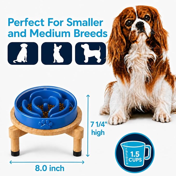 Slow Feeder Dog Bowls – Elevated Dog Bowl Slow Feeder with Bamboo Stand– Microwaveable Dog Slow Feeder for Small and Medium Dogs – Lead and BPA-Free Ceramic Pet Bowl – Pet Feeder for Fast Eaters