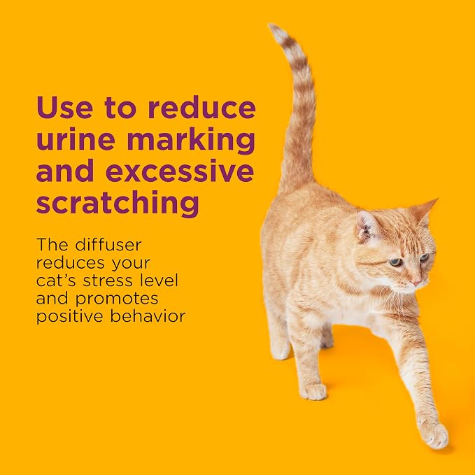 Comfort Zone Multi Cat Calming Diffuser Refill–Pheromone Refills Help Reduce Anxiety, Stress, Scratching, Urine Marking, Multi-Cat Aggression,(30-Day Refills, 1 Year Supply)(Pack of 12)