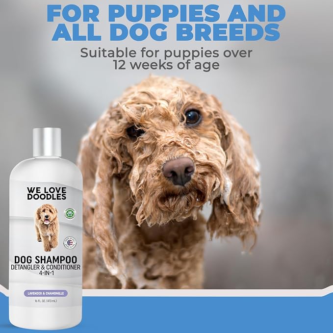 Dog Shampoo, Conditioner & Detangler, Hypoallergenic Tearless Lavender 16OZ | For Sensitive Itchy Skin, Hypoallergenic, Tearless, Best Shampoo For Smelly Dogs, Goldendoodle, Poodle & Doodle, Made in USA