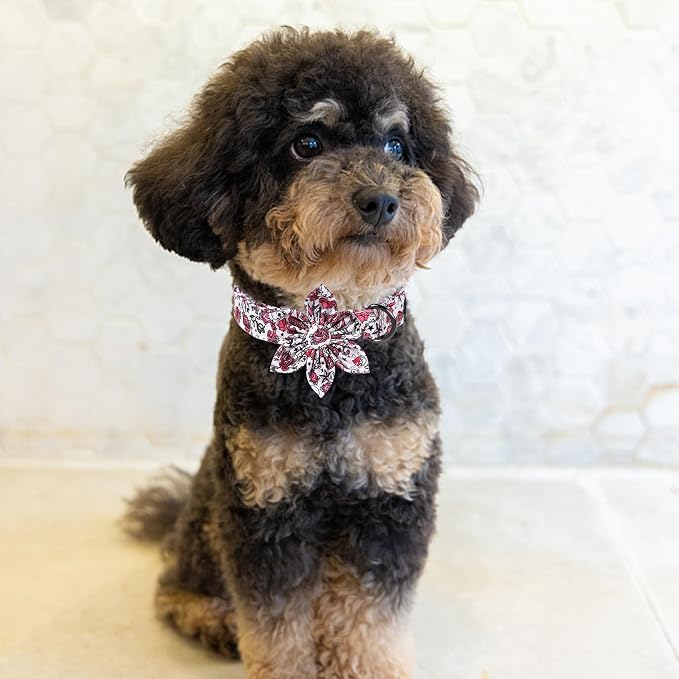 ·MR. CHUBBYFACE· Valentine's Dog Collar with Flower, Cute Pink Rose Cotton Dog Collar, Adjustable Valentine's Boy Girl Dog Collars with Metal Buckle for Small Medium Large Dogs