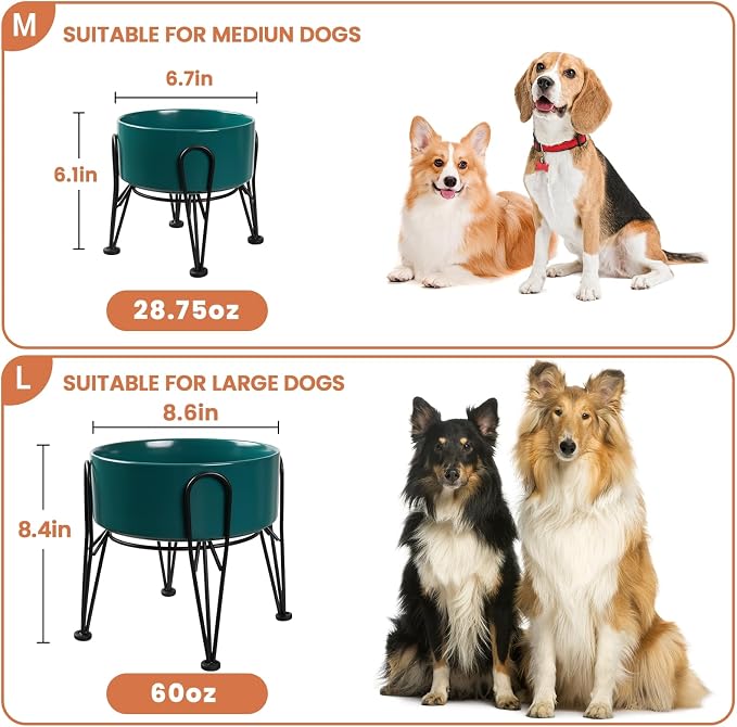 Elevated Dog Bowls, Ceramic Raised Dog Bowl Set with Anti-Slip and Non-Tip Metal Stand, 2 Pack Pet Food and Water Feeding Bowls for Small and Medium Dogs (Green,3.6 Cups)