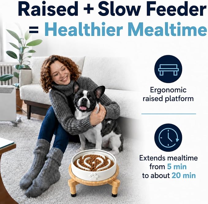 Slow Feeder Dog Bowls – Elevated Dog Bowl Slow Feeder with Bamboo Stand– Microwaveable Dog Slow Feeder for Small and Medium Dogs – Lead and BPA-Free Ceramic Pet Bowl – Pet Feeder for Fast Eaters