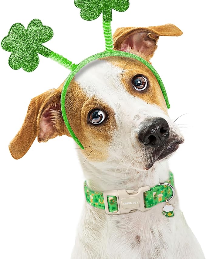 ARING PET St Patrick's Day Dog Collar, Cute Green Lucky Clovers Adjustable Shamrock Pet Collars Trefoil Puppy Collar Gifts with Quick Release Buckle for Girl&Boy Dogs-L